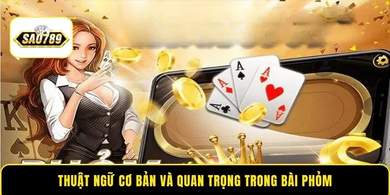 Thuật ngữ cơ bản và quan trọng trong bài Phỏm